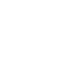 IT Efficiency programmes IT Efficiency programmes