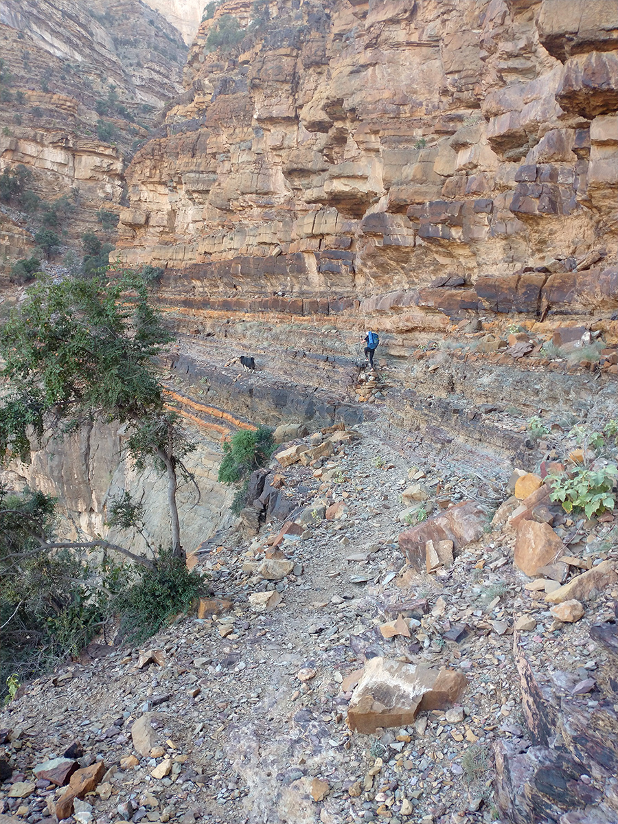 Goat guide Goat guide along the cliff